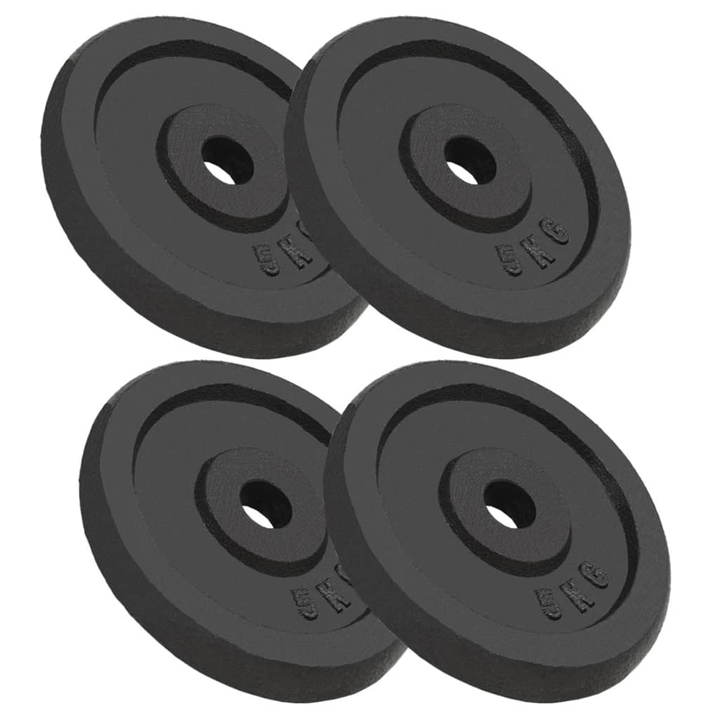 Vektskiver 4 stk 4x5 kg støpejern vidaXL