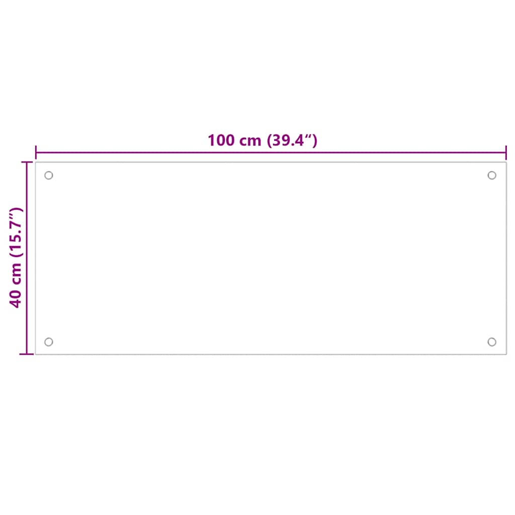 Kjøkkenplate gjennomsiktig 100x40 cm herdet glass vidaXL
