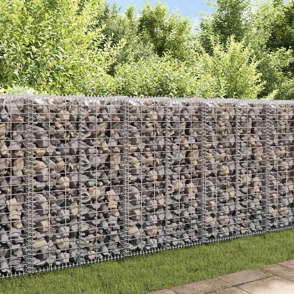 Gabion med topp- og bunndekke galvanisert stål 20x20x100 cm
