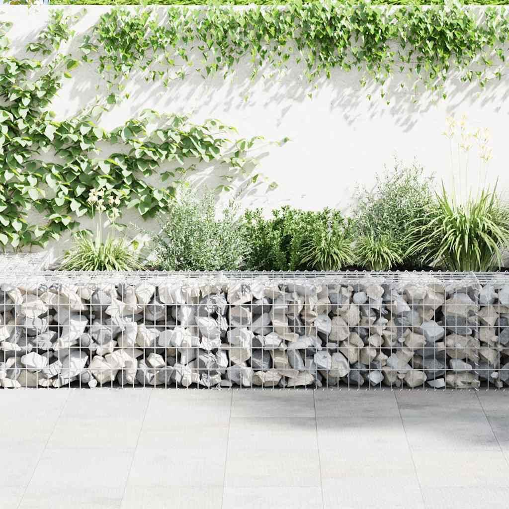 Gabion med topp- og bunnlokk galvanisert stål 300x50x50 cm