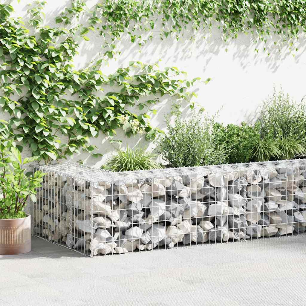 Gabion med topp- og bunnlokk galvanisert stål 300x50x50 cm