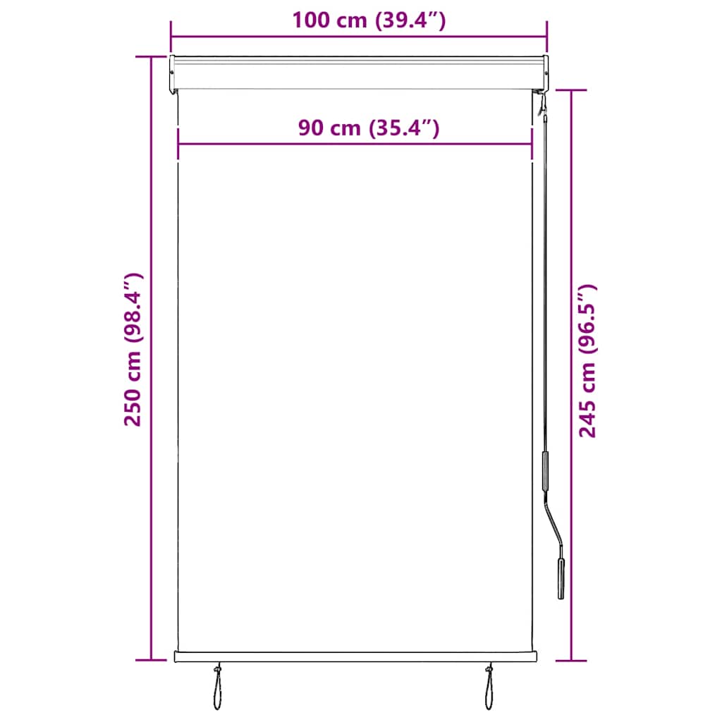 Utendørs rullegardin 100x250 cm kremhvit vidaXL