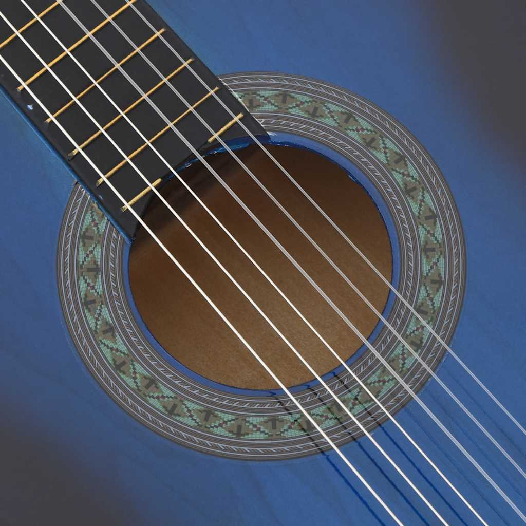 Klassisk gitar nybegynnersett 12 deler 4/4 39" blå
