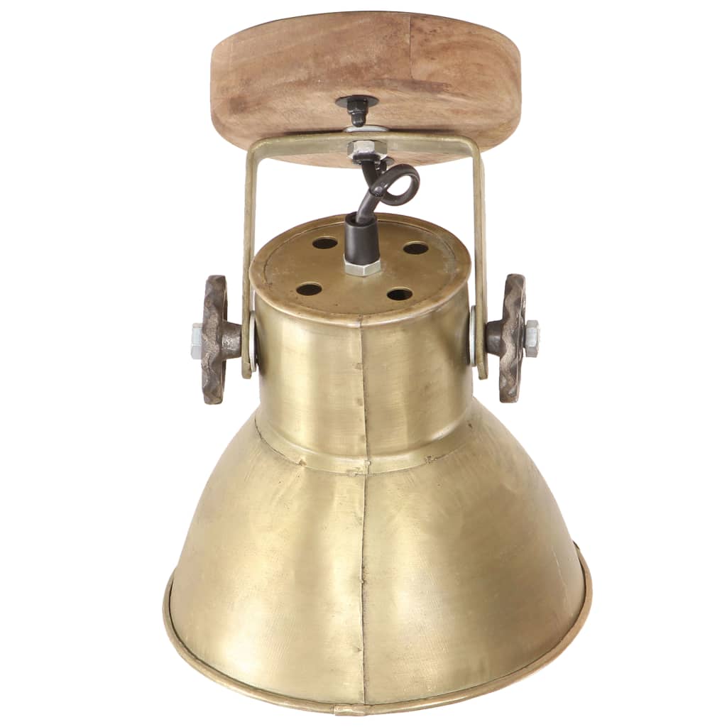 Industrielle vegg-/taklamper 2 stk messing 20x25 cm E27
