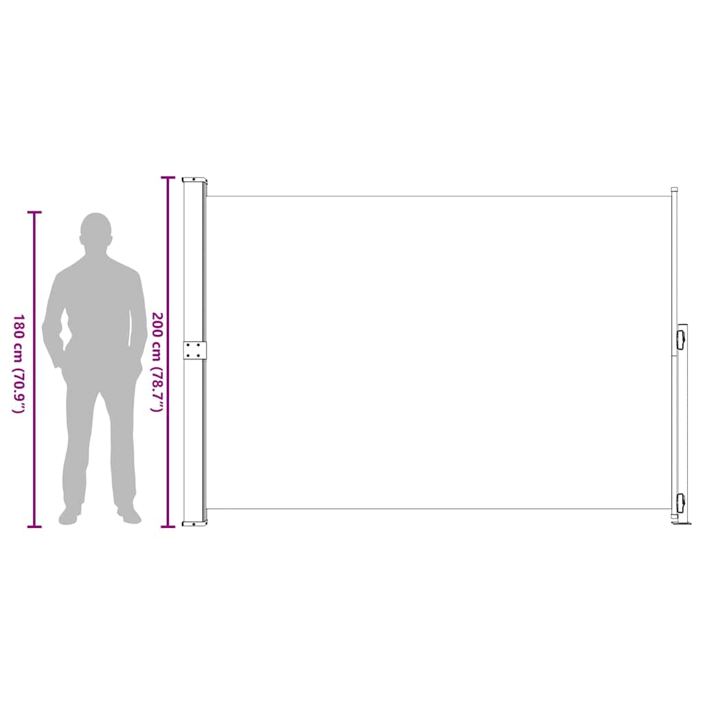 Uttrekkbar sidemarkise 200x300 cm svart vidaXL