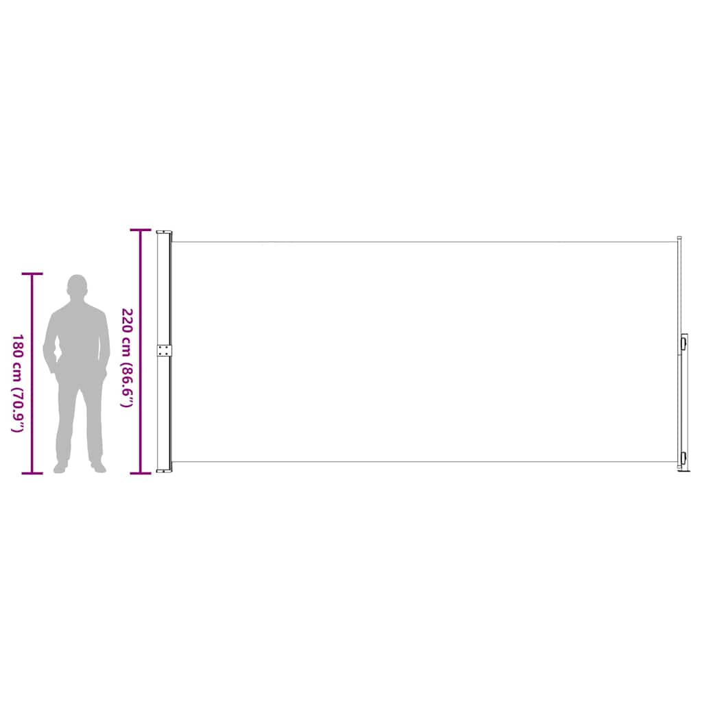 Uttrekkbar sidemarkise 220x500 cm svart vidaXL