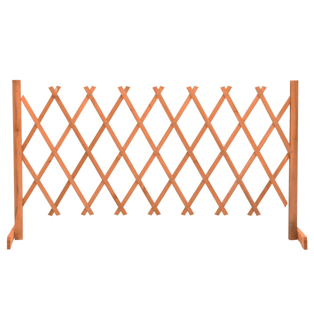 Espaliergjerde oransje 150x80 cm heltre gran vidaXL