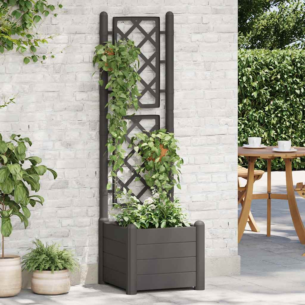 Plantekasse med espalier 43x43x142 cm PP antrasitt
