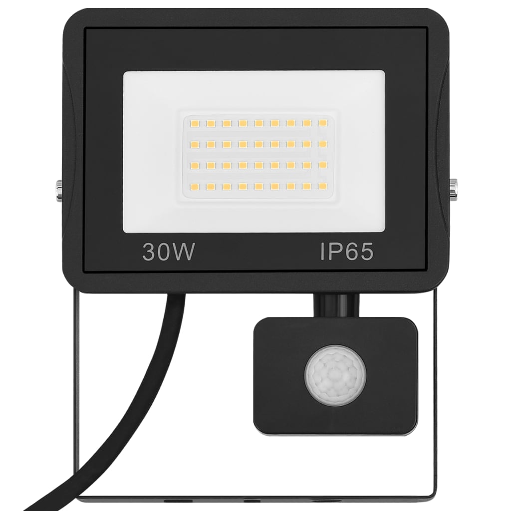 LED-flomlys med sensor 30 W kaldhvit