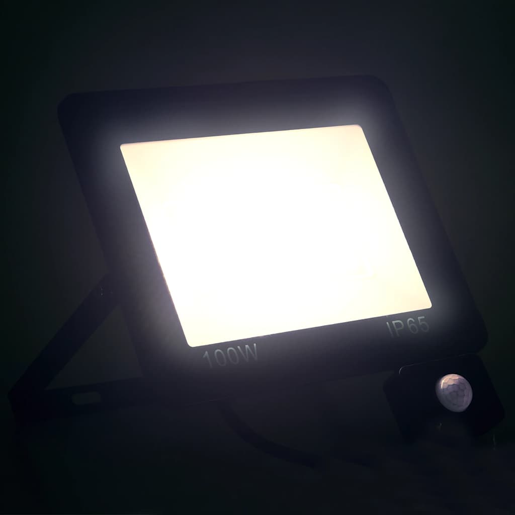 LED-flomlys med sensor 100 W kaldhvit