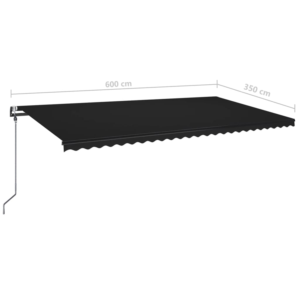 Automatisk markise med vindsensor og LED 600x350 cm antrasitt vidaXL