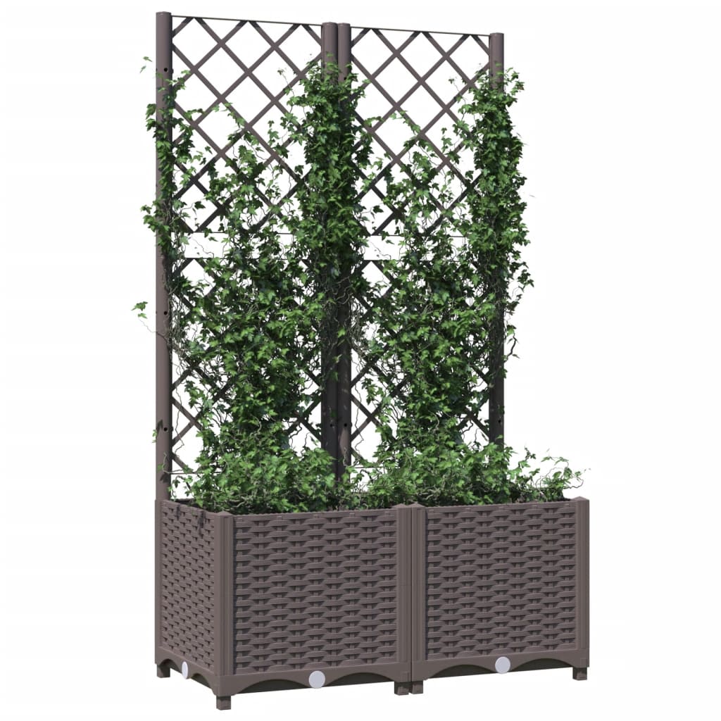 Plantekasse med espalier brun 80x40x136 cm PP