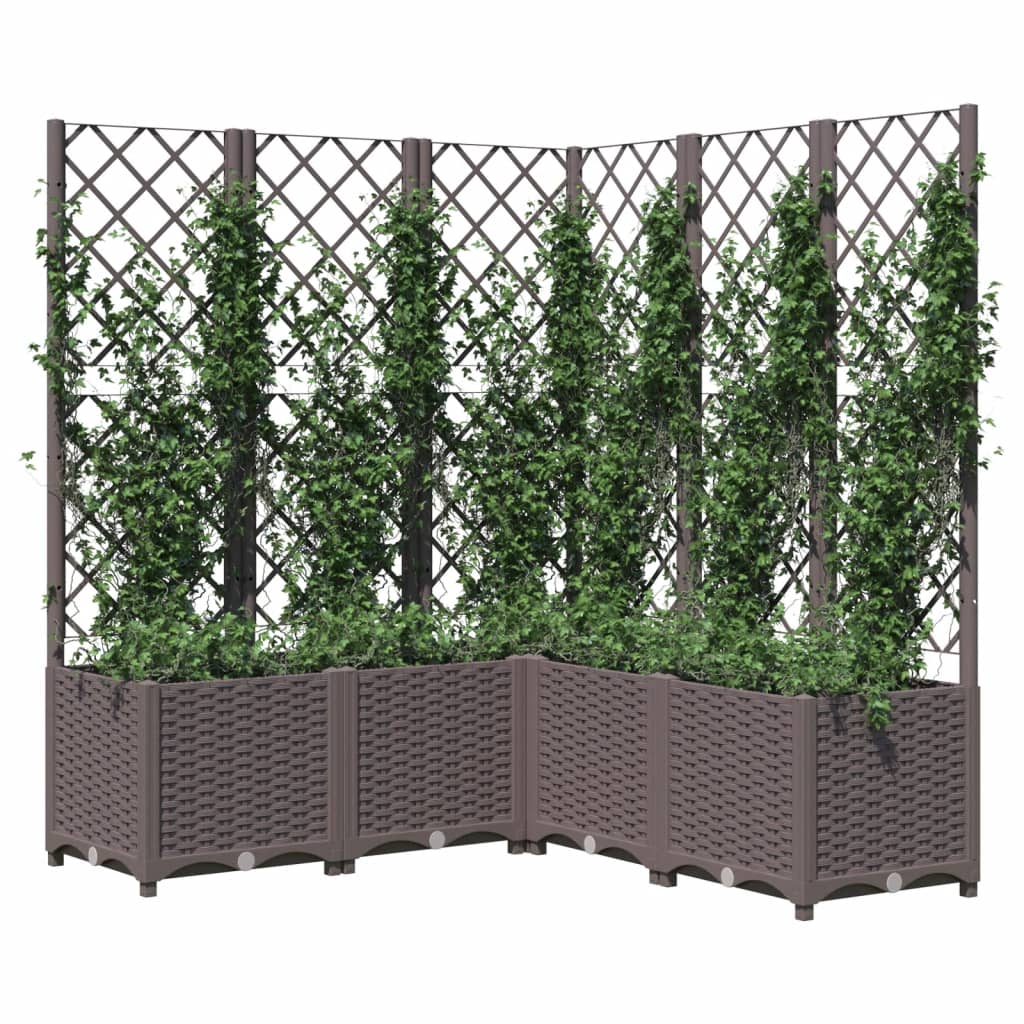 Plantekasse med espalier brun 120x120x136 cm PP