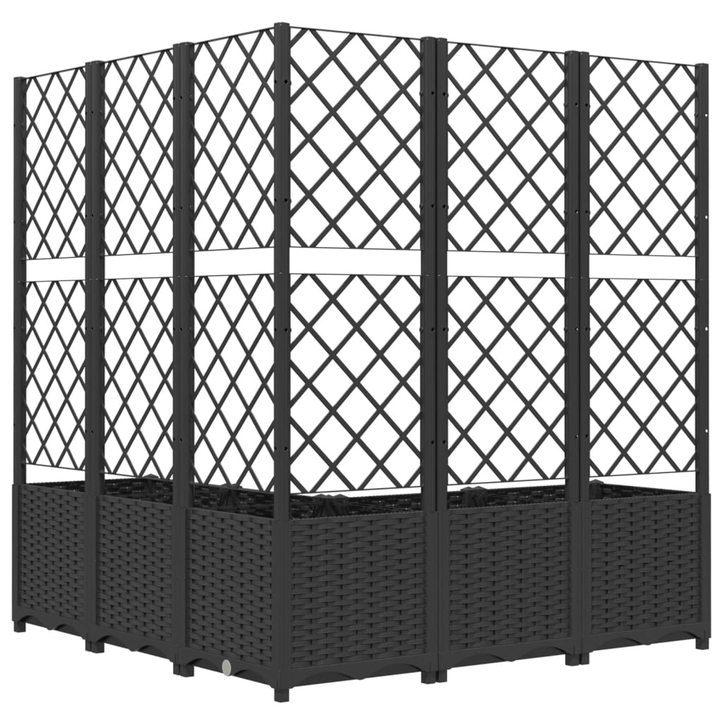 Plantekasse med espalier svart 120x120x136 cm PP