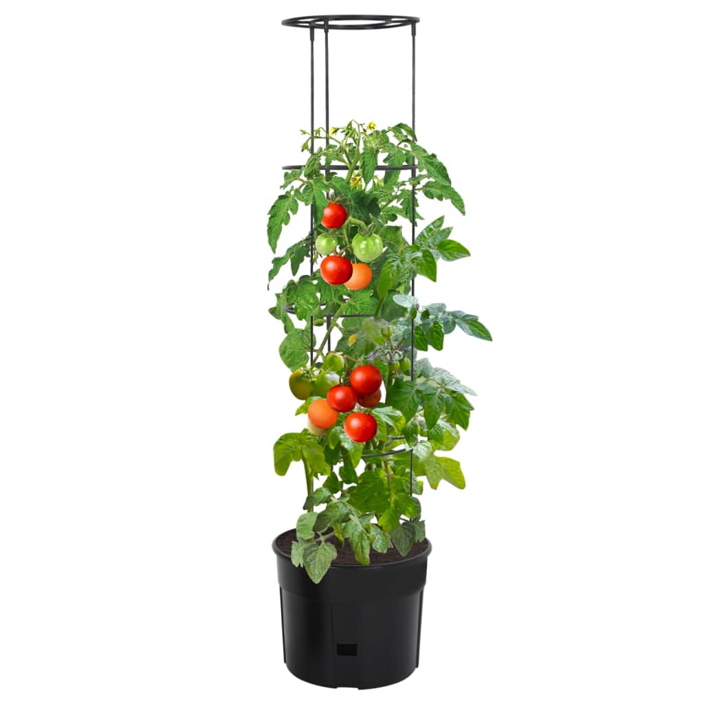 Tomatpotte antrasitt Ø39x150 cm polypropylen vidaXL