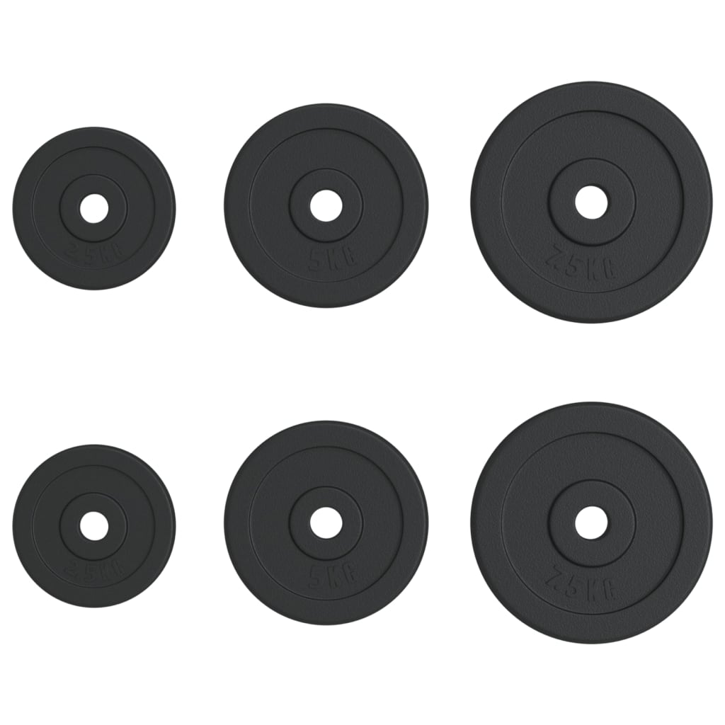 Vektskiver 6 stk 30 kg støpejern vidaXL