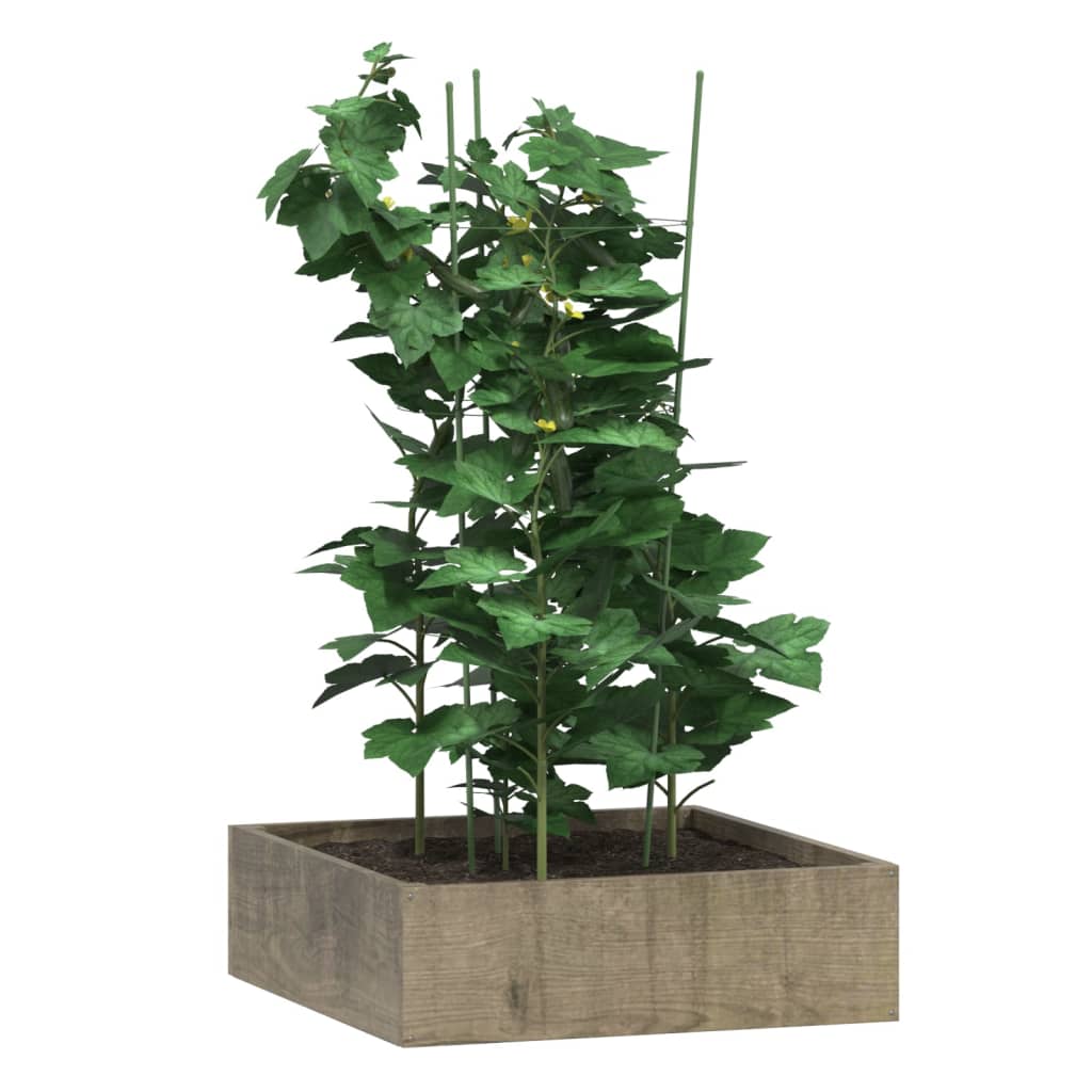 Plantestøtter med 3 ringer 5 stk grønn 75 cm stål
