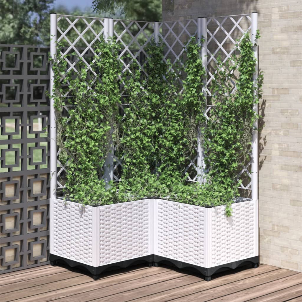 Plantekasse med espalier hvit 80x80x136 cm PP