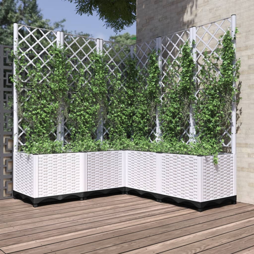 Plantekasse med espalier hvit 120x120x136 cm PP