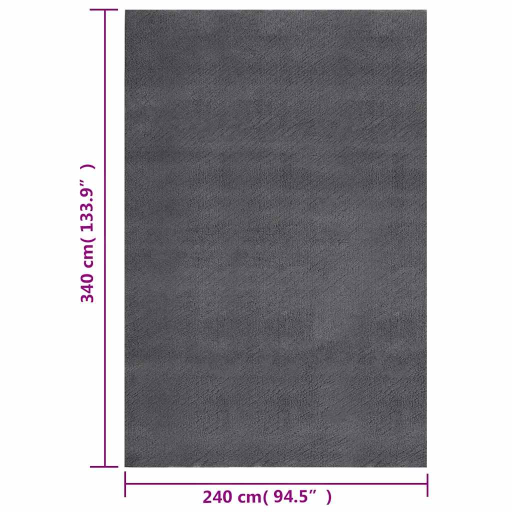 Shaggy-teppe antrasitt 240x340 cm polyester