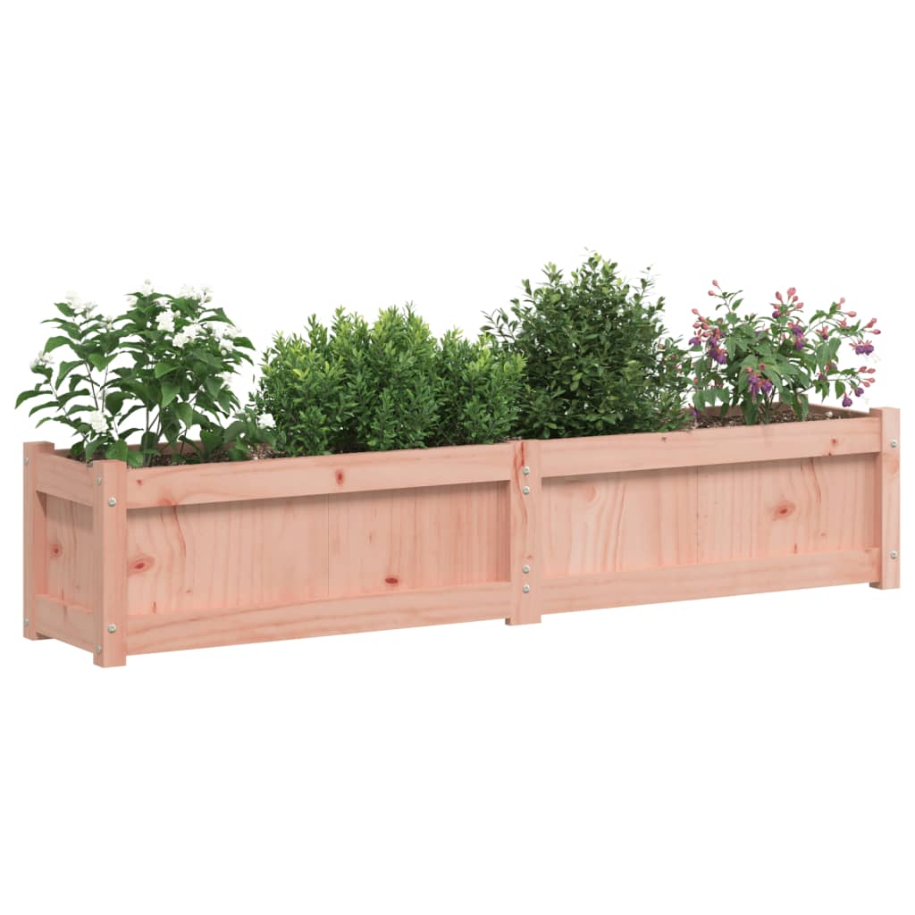 Hageplantekasse 2 stk heltre douglasgran