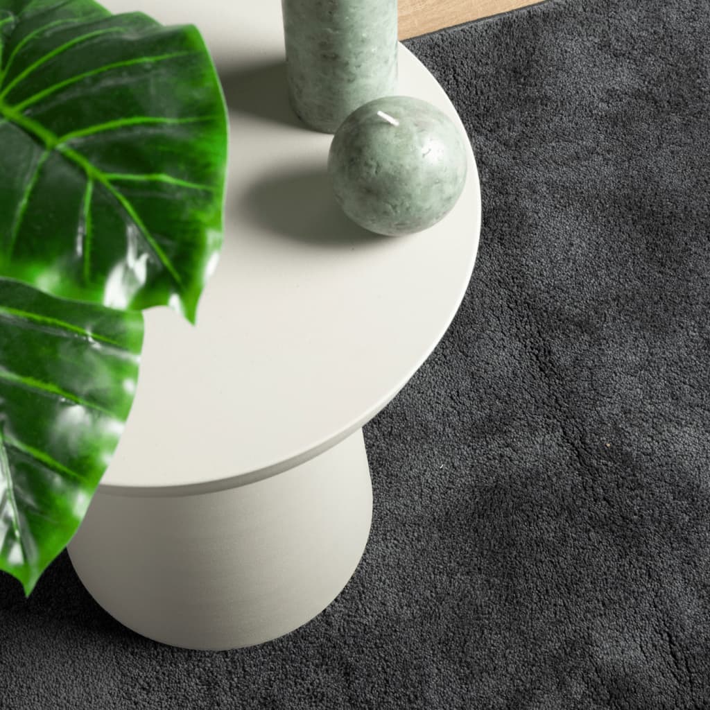 Teppe OVIEDO kort luv antrasitt 200x280 cm