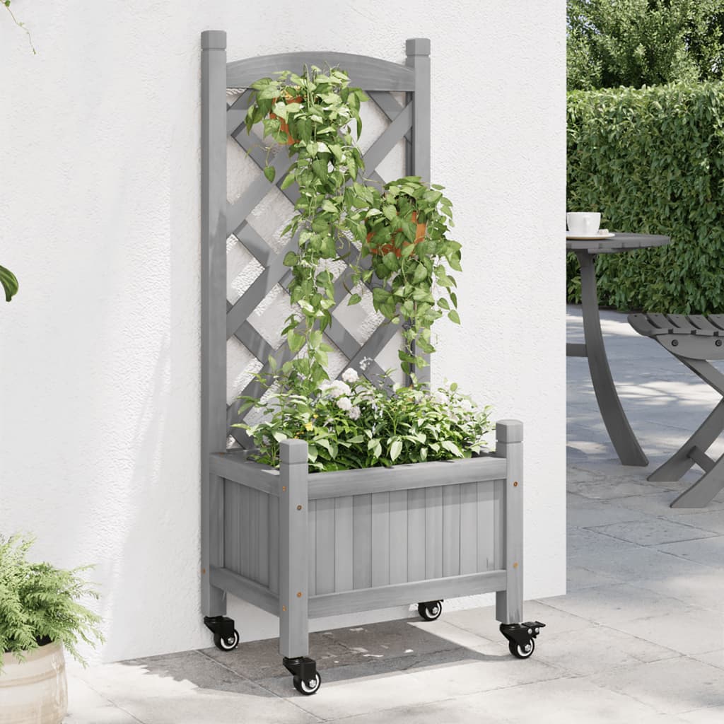 Plantekasse med espalier og hjul grå heltre gran