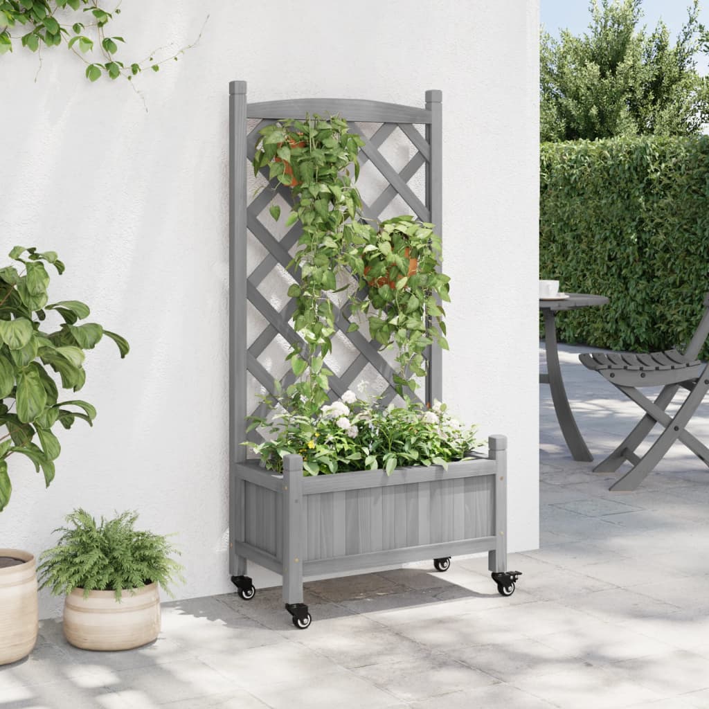 Plantekasse med espalier og hjul grå heltre gran