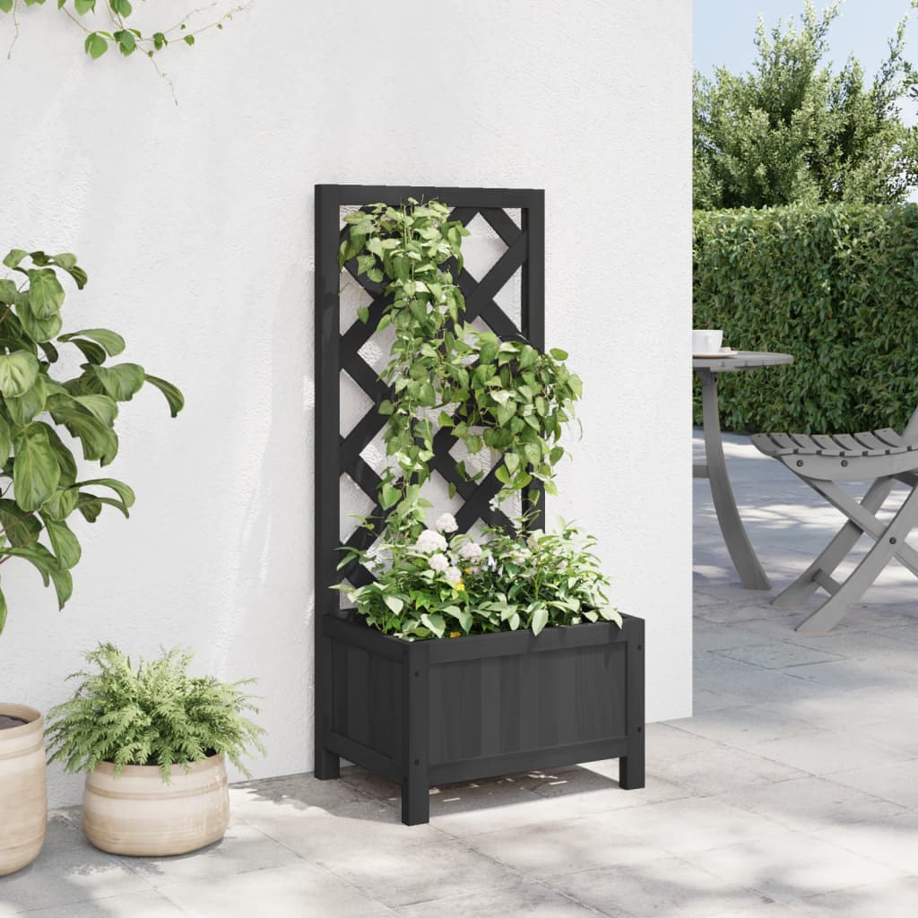 Plantekasse med espalier svart heltre gran
