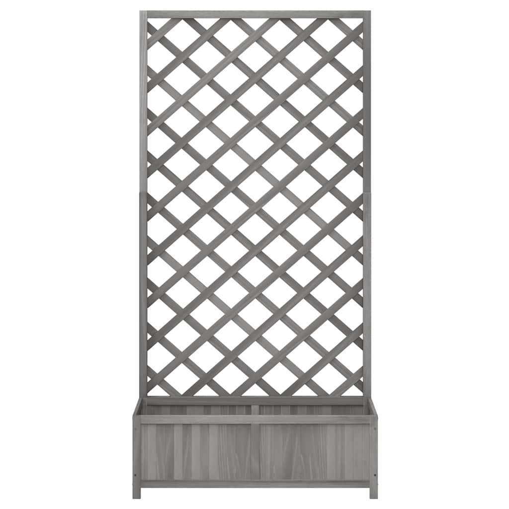 Plantekasse med espalier grå heltre gran