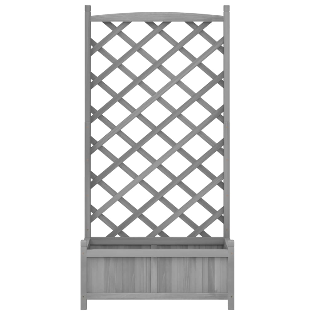 Plantekasse med espalier grå heltre gran
