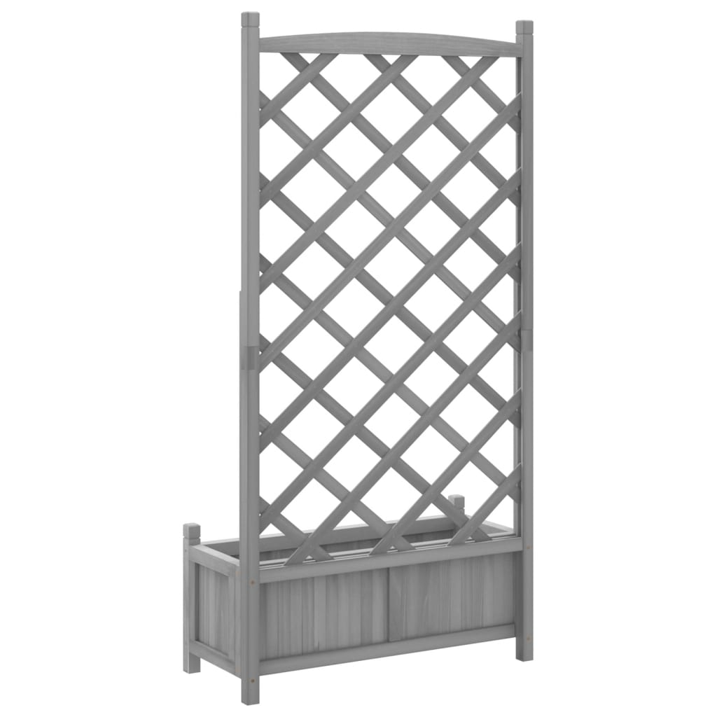 Plantekasse med espalier grå heltre gran