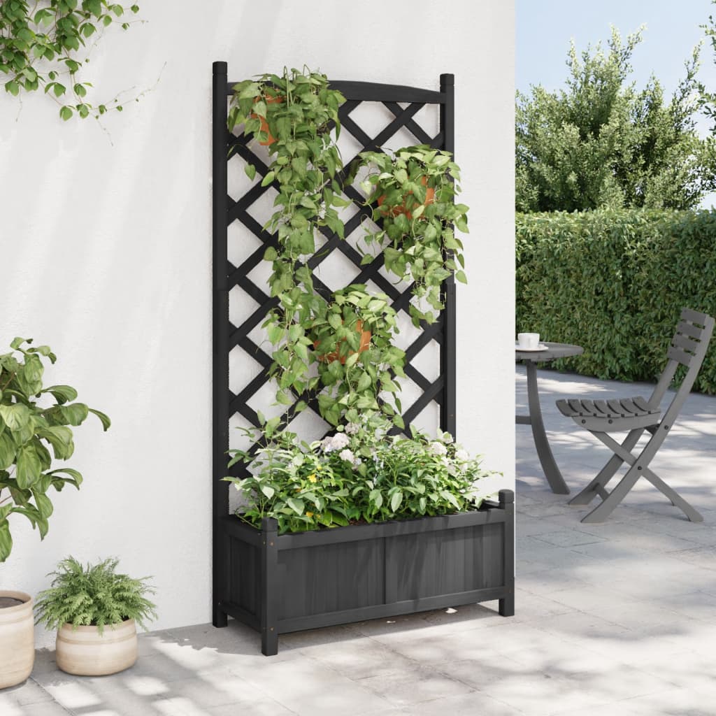 Plantekasse med espalier svart heltre gran