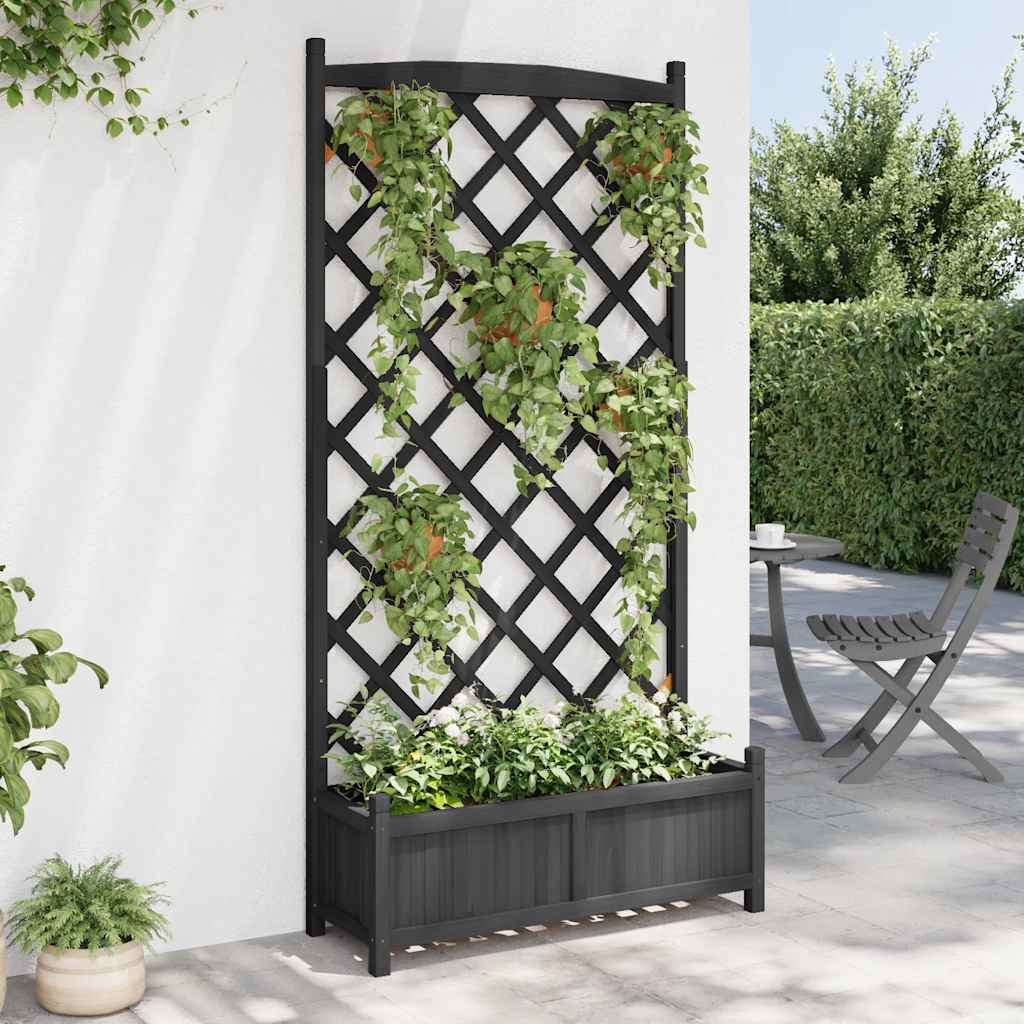Plantekasse med espalier svart heltre gran