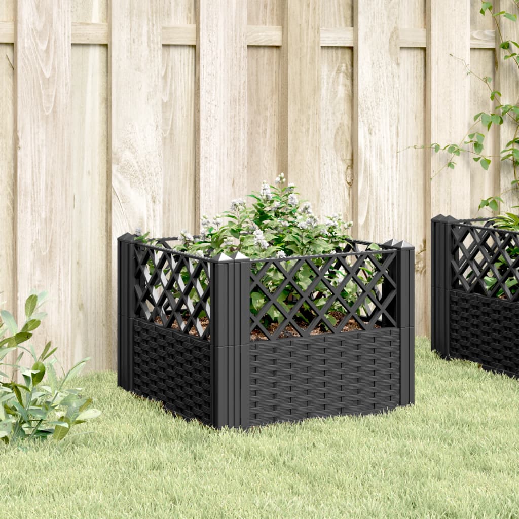 Plantekasse med plugger svart 43,5x43,5x43,5 cm PP