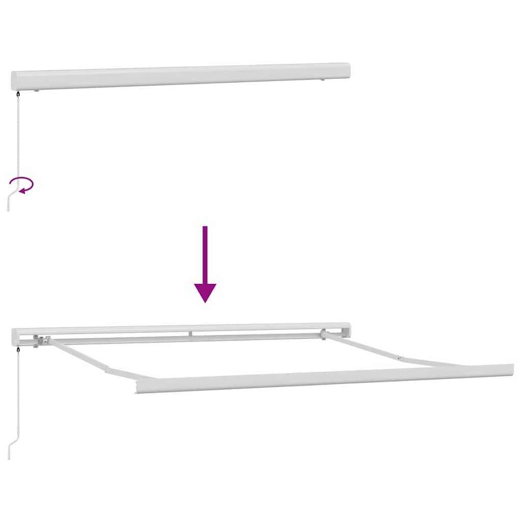 Manuell uttrekkbar markise brun 300x250 cm