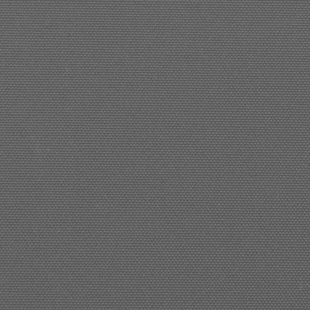 Uttrekkbar sidemarkise antrasitt 100x300 cm vidaXL