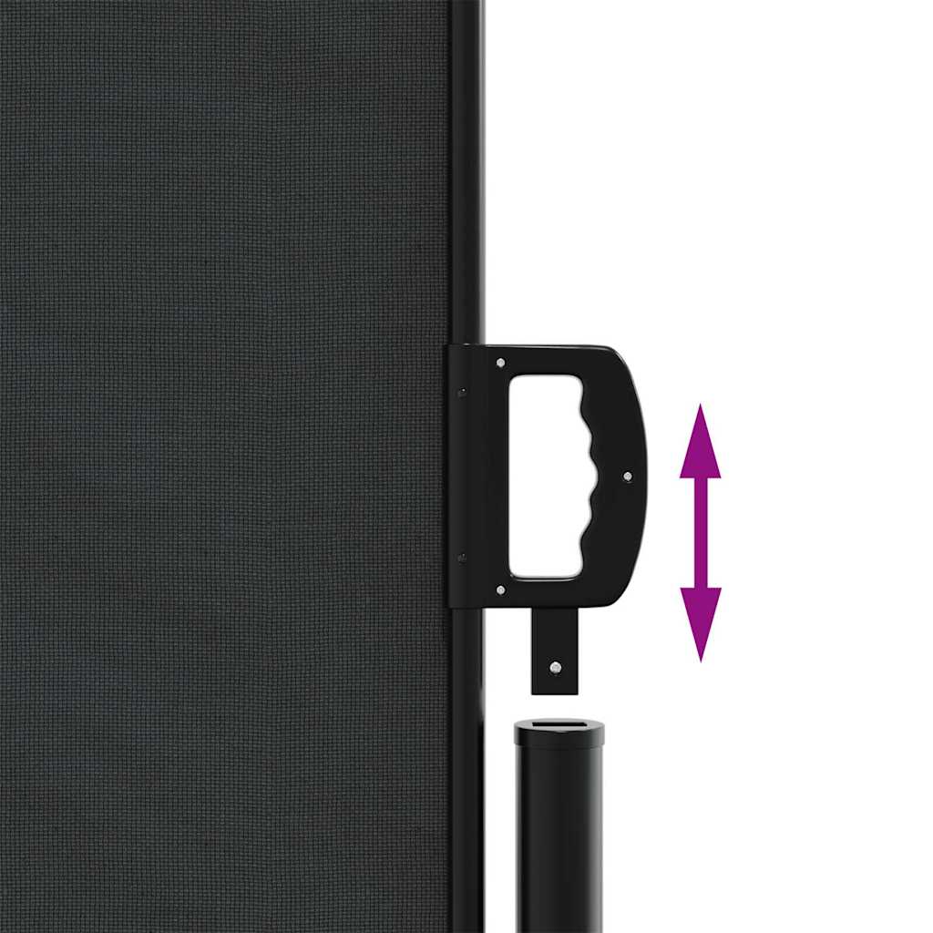 Uttrekkbar sidemarkise svart 160x300 cm