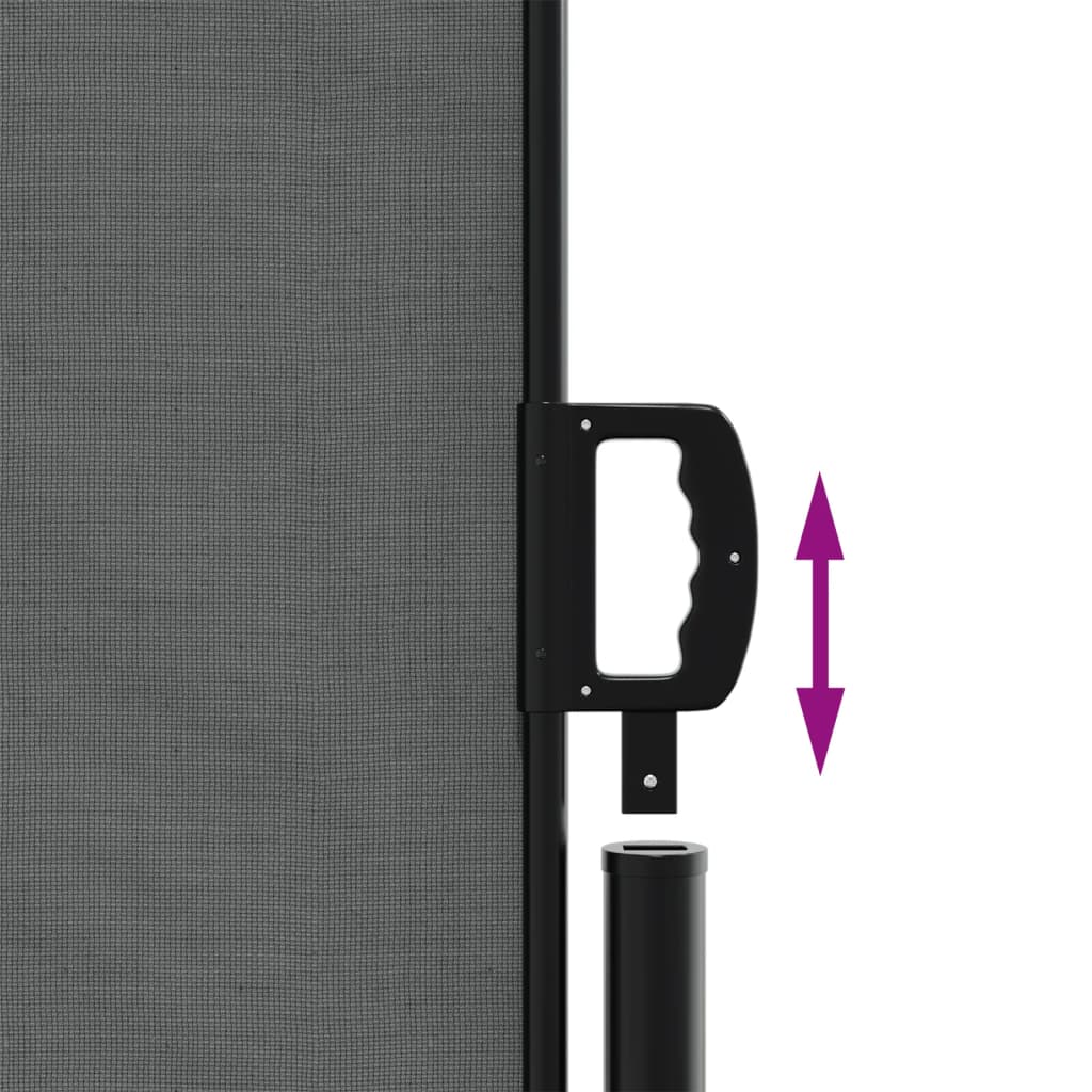 Uttrekkbar sidemarkise antrasitt 160x300 cm