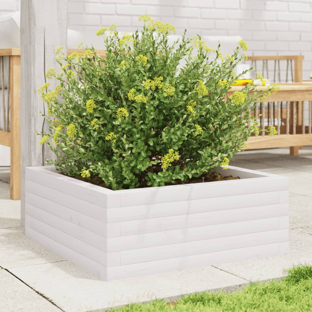 Plantekasse hvit 60x60x23 cm heltre furu
