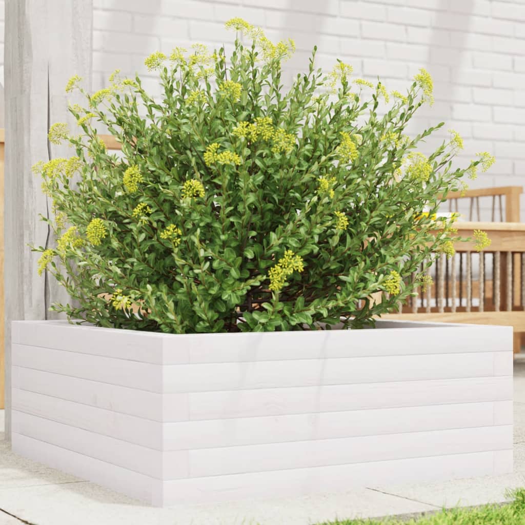Plantekasse hvit 60x60x23 cm heltre furu