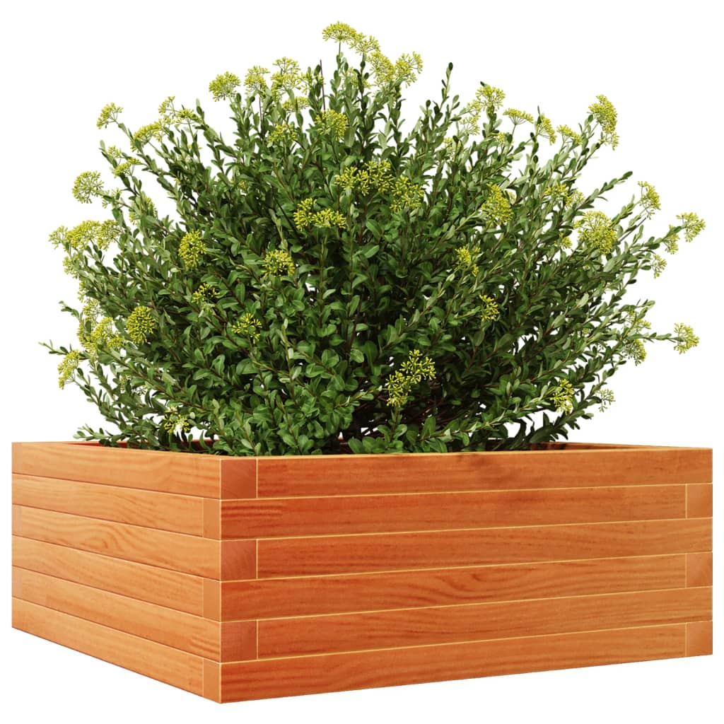 Plantekasse voksbrun 60x60x23 cm heltre furu
