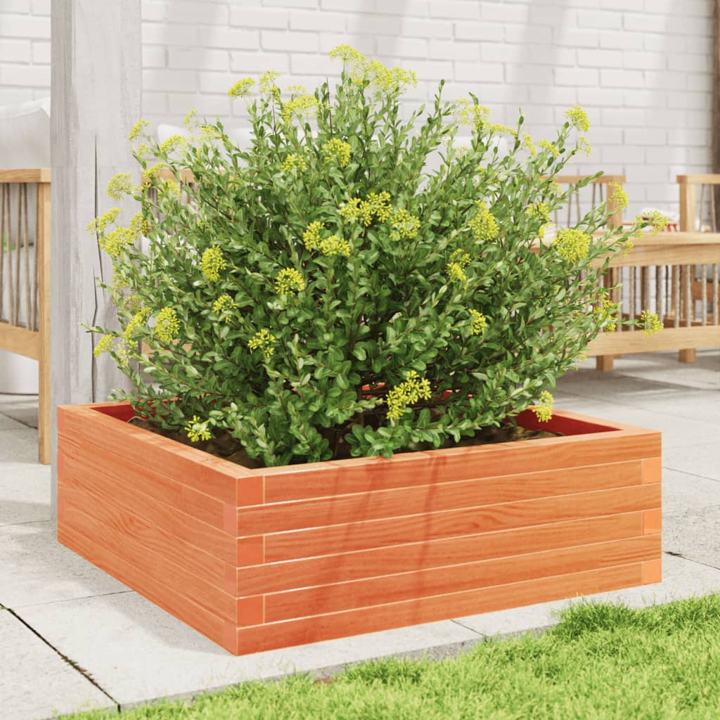 Plantekasse voksbrun 70x70x23 cm heltre furu