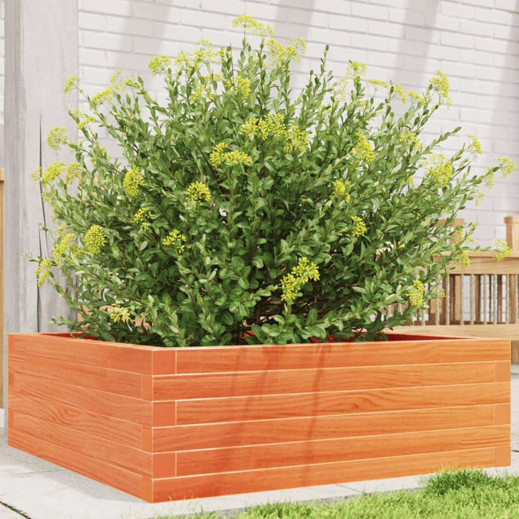 Plantekasse voksbrun 70x70x23 cm heltre furu