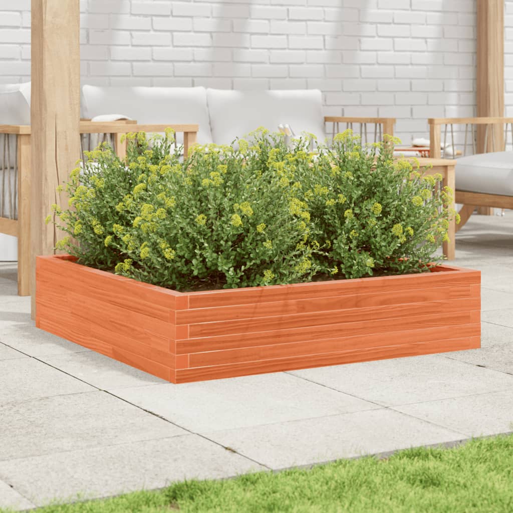 Plantekasse voksbrun 100x100x23 cm heltre furu