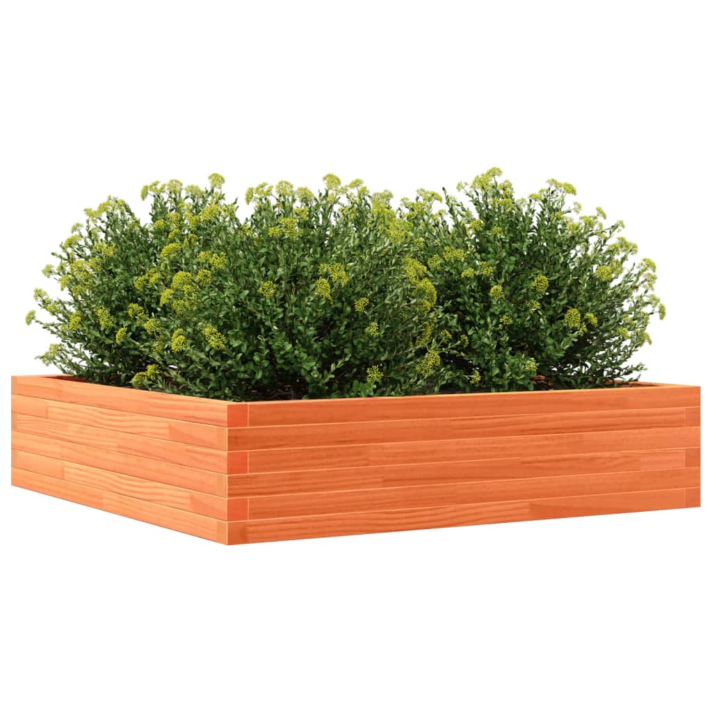 Plantekasse voksbrun 100x100x23 cm heltre furu