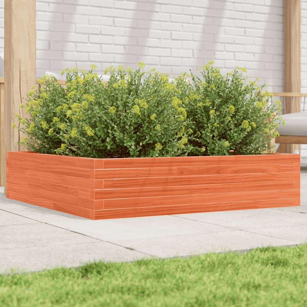 Plantekasse voksbrun 100x100x23 cm heltre furu