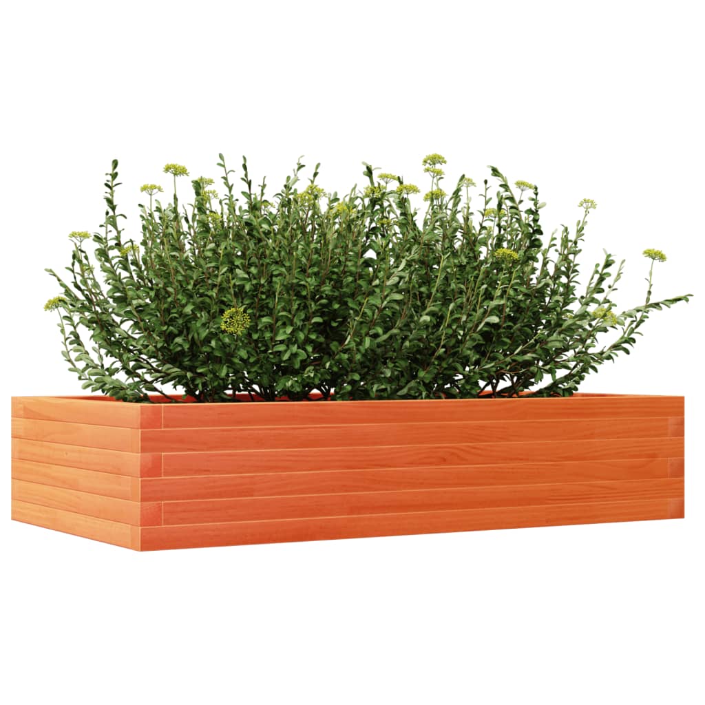 Plantekasse voksbrun 110x60x23 cm heltre furu