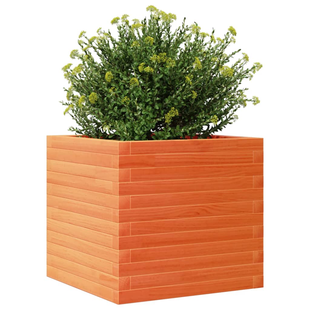 Plantekasse voksbrun 50x50x45,5 cm heltre furu