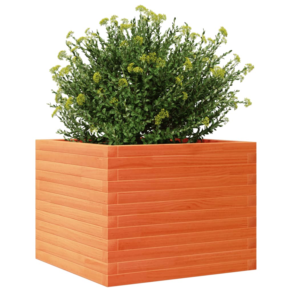 Plantekasse voksbrun 60x60x45,5 cm heltre furu